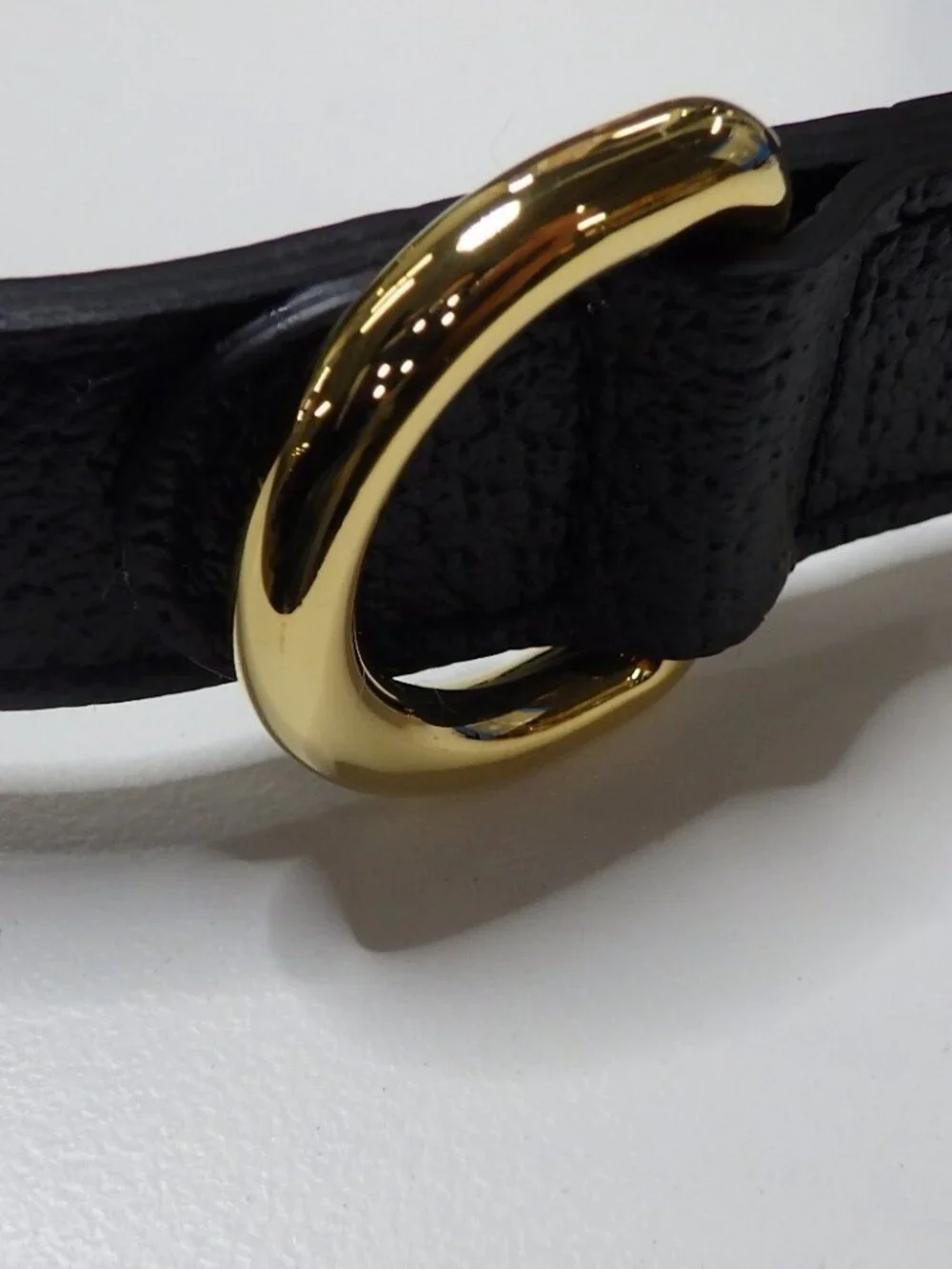 Gucci Dog Collar in Dustbag & Box